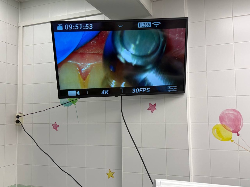 Секрет точной стоматологии: увеличение в 26 раз (3)