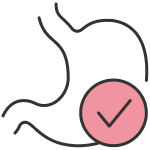 Пищеварение в норме