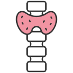 Здоровая щитовидка